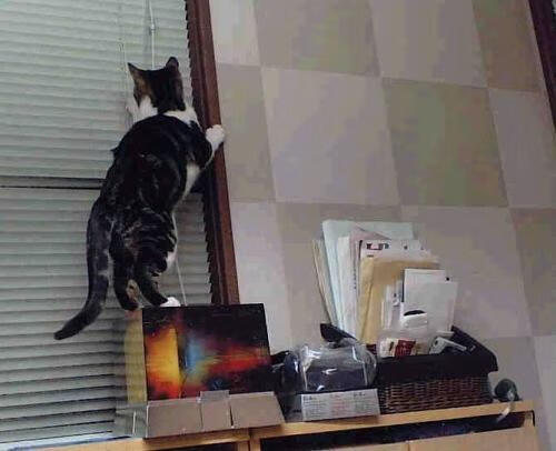 “西甲激战频繁:强队难以轻松取胜”,西甲强度