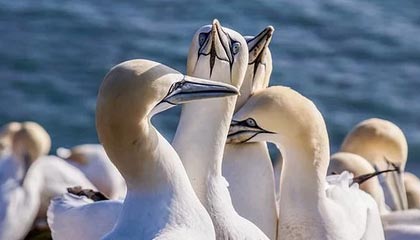 九游下载官网-“极端天气、极端速度”——最艰难赛段全纪录，极端天气安全教育ppt