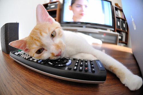 _骑士队展现无限潜力,冲击季后赛_,骑士队阵容名单最新