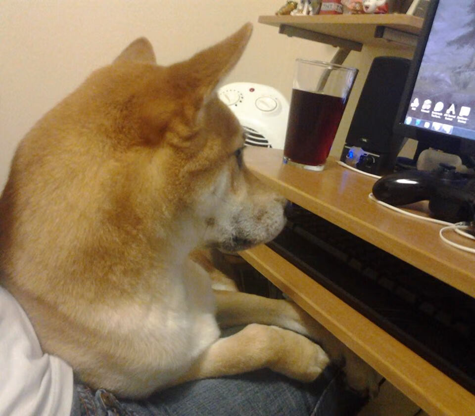 “智能裁判系统在中超首次应用，保障比赛公平公正”，人工智能足球裁判