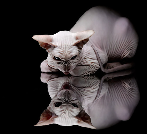 九游娱乐官网 (JIUYOU)-“西甲激战正酣，冠军争夺逐渐明晰”，西甲比赛锦集