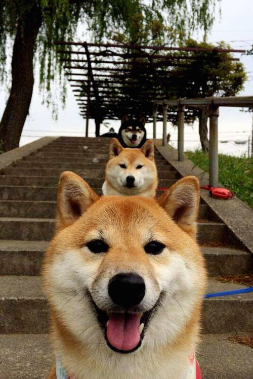 “青少年足球公益训练营在边远地区落地,普及足球运动”,青少年足球训练基地