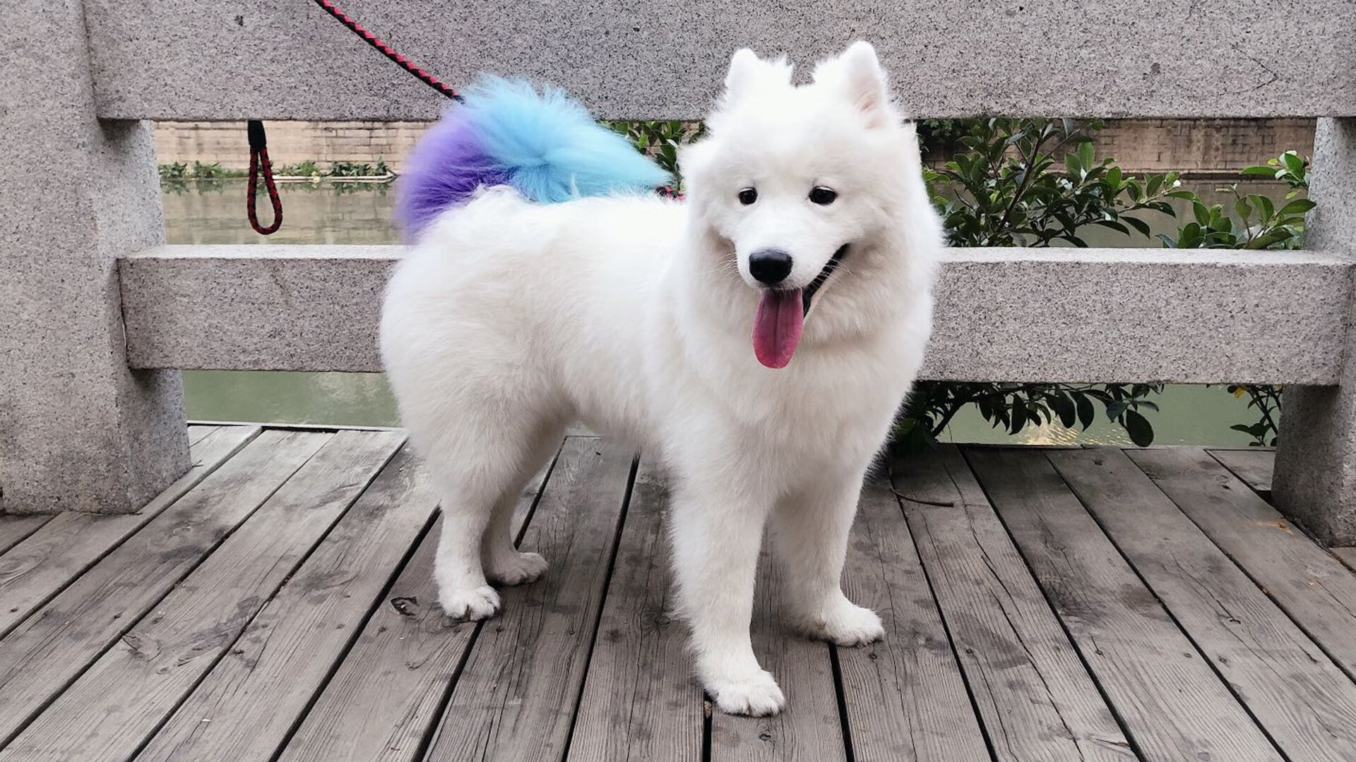 “青春骄阳”青少年篮球明星争霸赛在南京精彩纷呈,演绎青春梦想