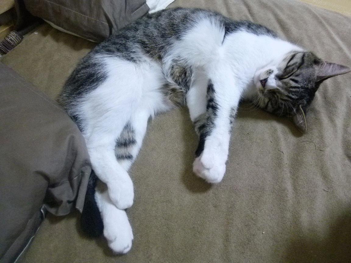 “青训+产业”融合创新,行业发展突破瓶颈迈上新台阶