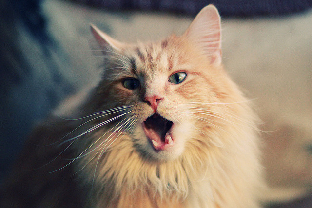 《青少年电竞策略：培养兴趣与防止沉迷兼得》，青少年电子游戏