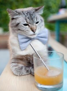 九游登录中心-【技术革新】新装备助力运动员提升表现