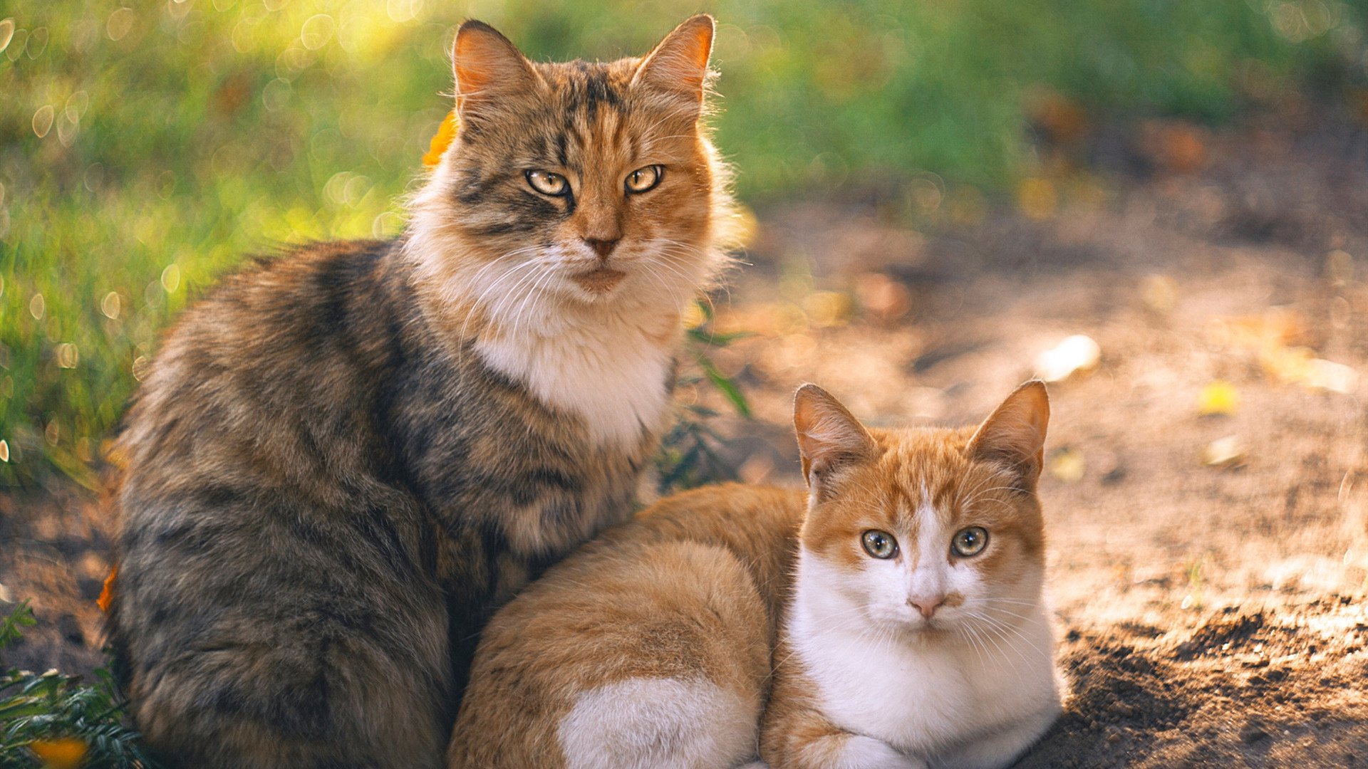 九游APP官网-与国际瑜伽大师合作，举办大师班，国际瑜伽大师有哪些