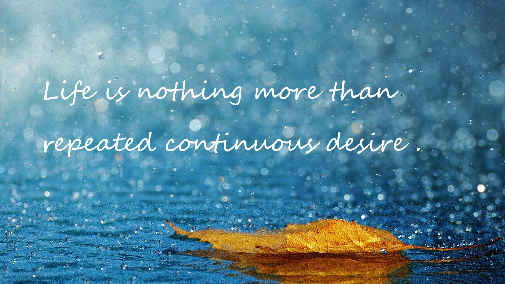 九游游戏中心-今年NBA季后赛最大黑马是哪个球队？，今年nba季后赛的球队