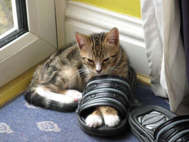 九游jiuyou-史上最“绝望”的逆转战，科比带领湖人逆天翻盘！，科比36岁湖人战绩