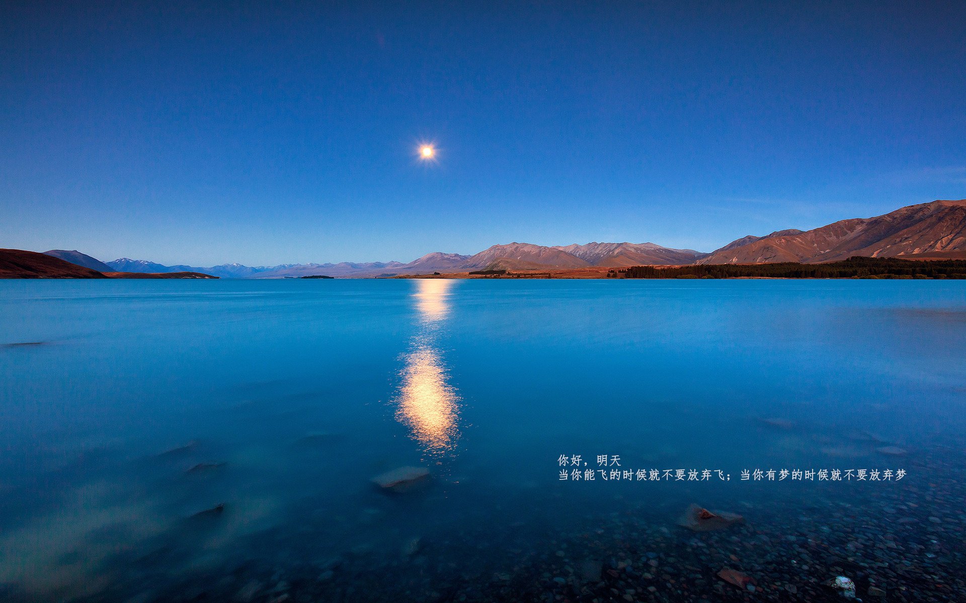 九游娱乐-史上最年轻的欧冠“金童”，谁的崛起势不可挡？，最年轻的金球奖得主排名